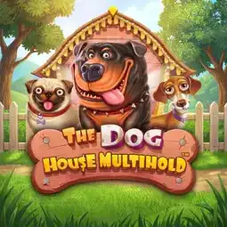 The Dog House Multihold game at Jackpotcity Casino for New Zealand players
